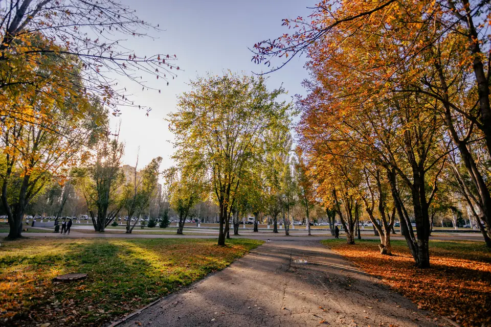 Serving the Oak Hill Park Business Community — Oak Hill Park, MA