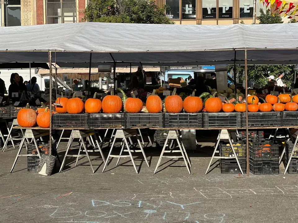 Local Landmarks and Attractions in Somerville, MA in Somerville